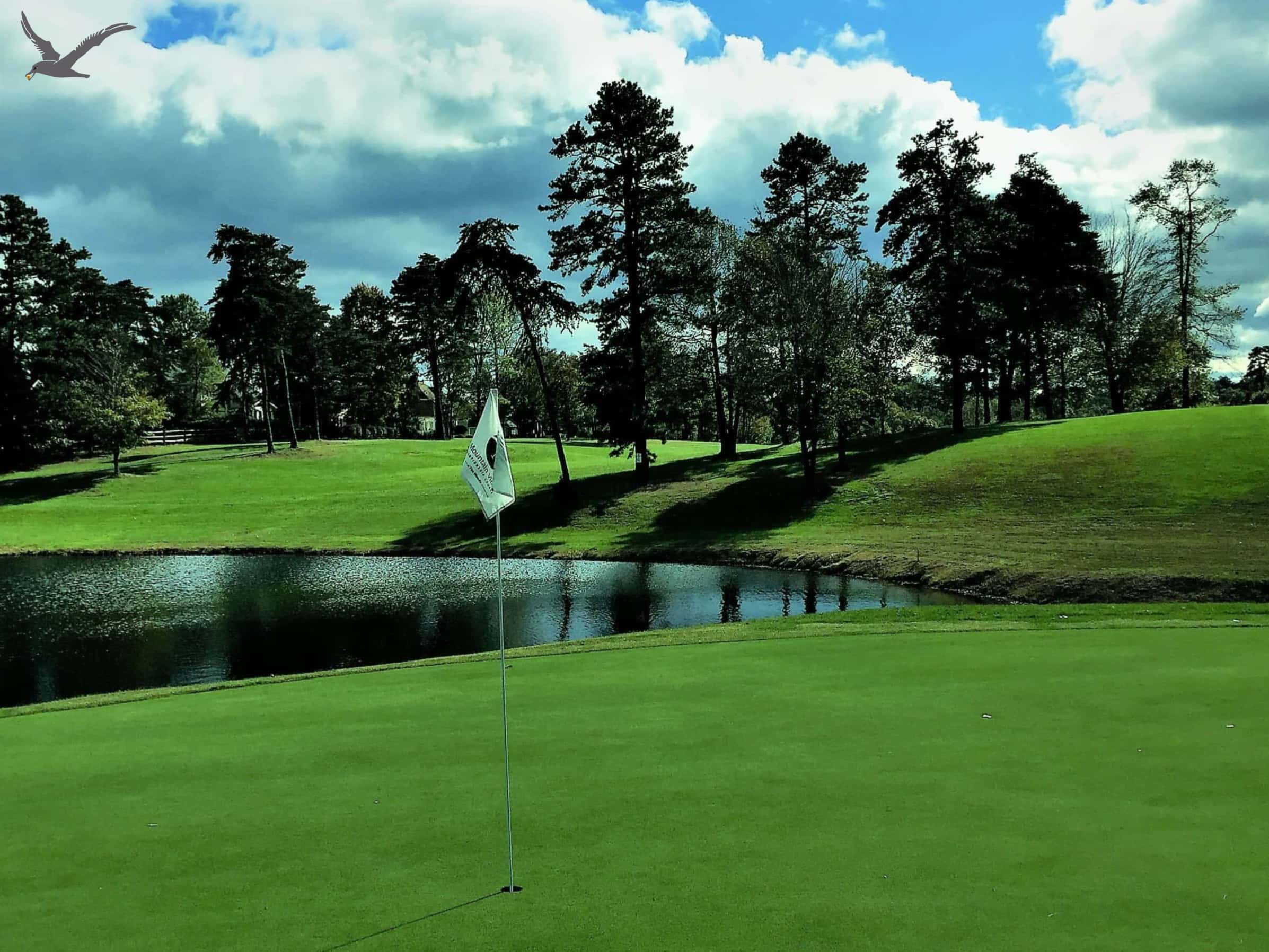 アルバトロス スポーツ: ゴルフを知るための 10 の豆知識 (パート 1)